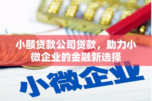 文峰小额贷款公司贷款，助力小微企业的金融新选择