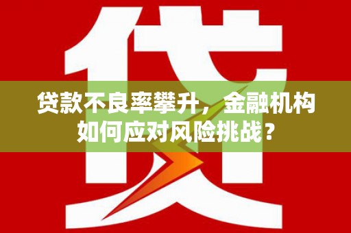 文峰贷款不良率攀升，金融机构如何应对风险挑战？
