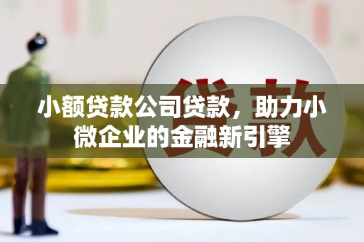 文峰小额贷款公司贷款，助力小微企业的金融新引擎