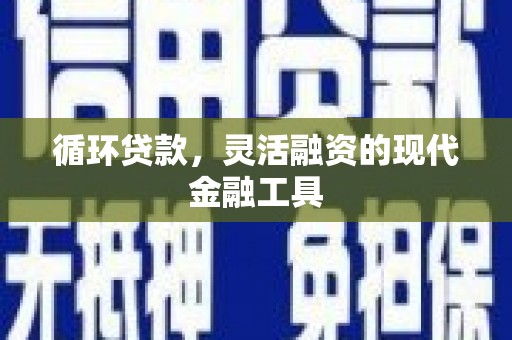 文峰循环贷款，灵活融资的现代金融工具