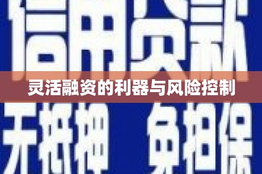 文峰灵活融资的利器与风险控制