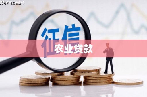 文峰农业贷款