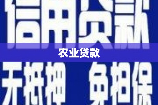文峰农业贷款
