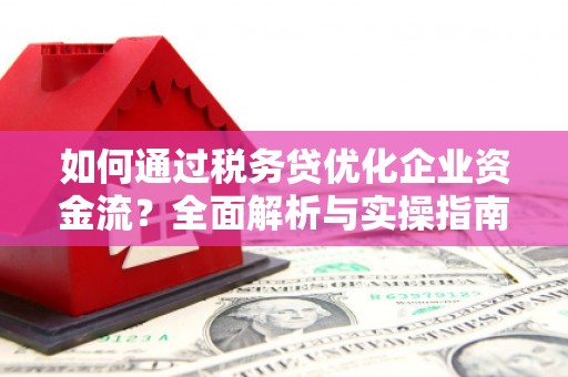 文峰如何通过税务贷优化企业资金流？全面解析与实操指南