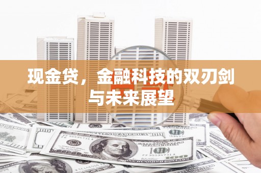 文峰现金贷，金融科技的双刃剑与未来展望