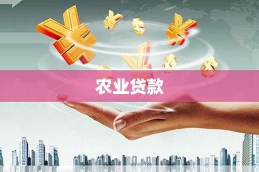 文峰农业贷款