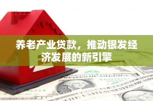 文峰养老产业贷款，推动银发经济发展的新引擎
