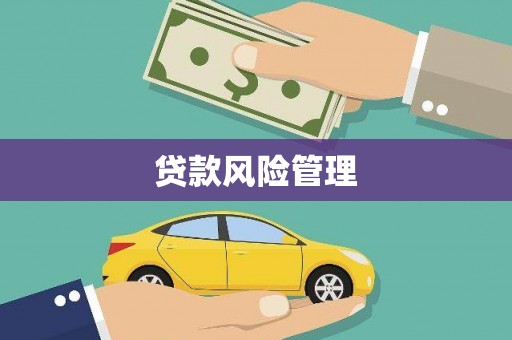 文峰贷款风险管理