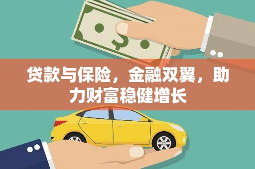 文峰贷款与保险，金融双翼，助力财富稳健增长
