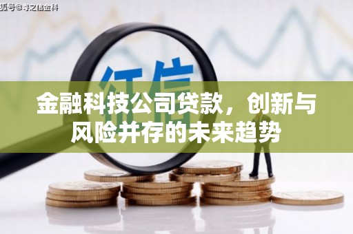 文峰金融科技公司贷款，创新与风险并存的未来趋势