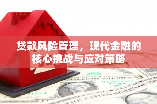 文峰贷款风险管理，现代金融的核心挑战与应对策略