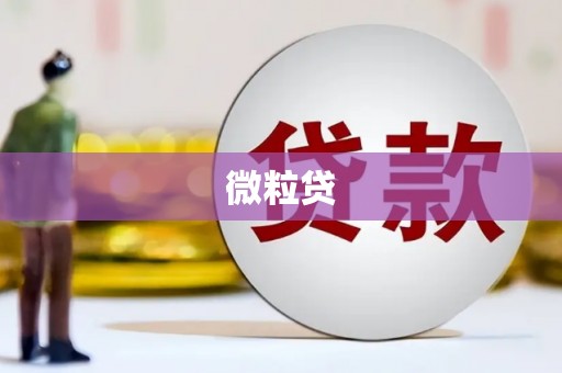 文峰微粒贷