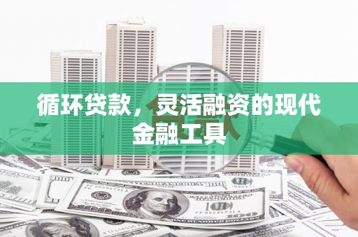 文峰循环贷款，灵活融资的现代金融工具