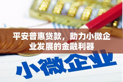 文峰平安普惠贷款，助力小微企业发展的金融利器