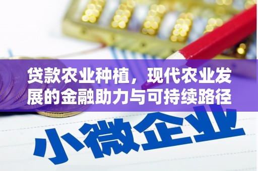 文峰贷款农业种植，现代农业发展的金融助力与可持续路径