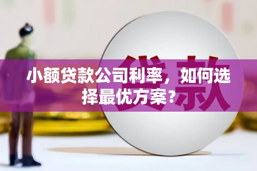 文峰小额贷款公司利率，如何选择最优方案？