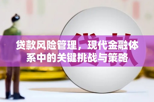 文峰贷款风险管理，现代金融体系中的关键挑战与策略