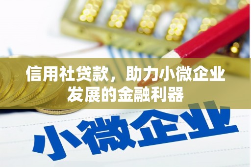 文峰信用社贷款，助力小微企业发展的金融利器