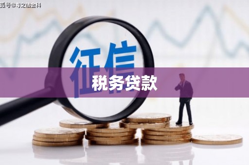 文峰税务贷款