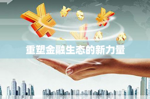 文峰重塑金融生态的新力量