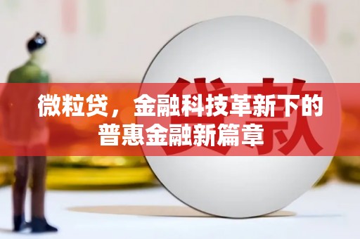 文峰微粒贷，金融科技革新下的普惠金融新篇章