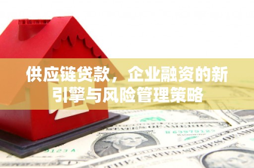 文峰供应链贷款，企业融资的新引擎与风险管理策略