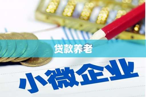 文峰贷款养老
