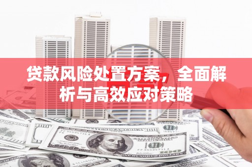 文峰贷款风险处置方案，全面解析与高效应对策略