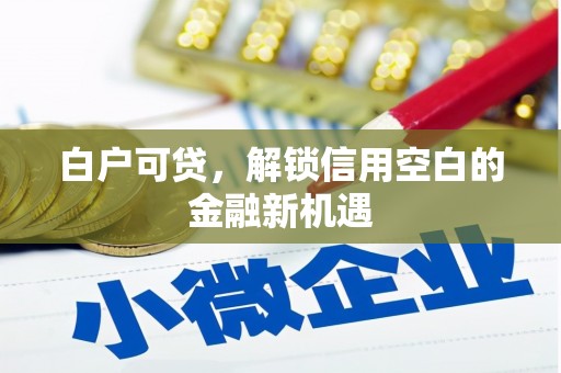 文峰白户可贷，解锁信用空白的金融新机遇