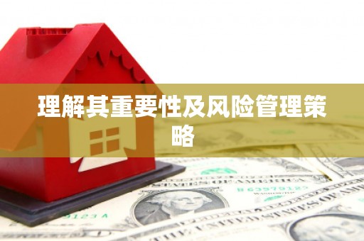 文峰理解其重要性及风险管理策略