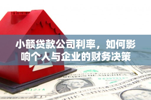 文峰小额贷款公司利率，如何影响个人与企业的财务决策