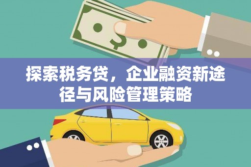 文峰探索税务贷，企业融资新途径与风险管理策略