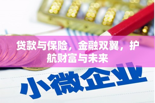文峰贷款与保险，金融双翼，护航财富与未来