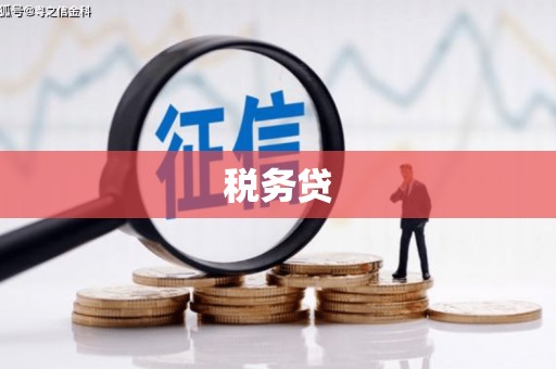 文峰税务贷