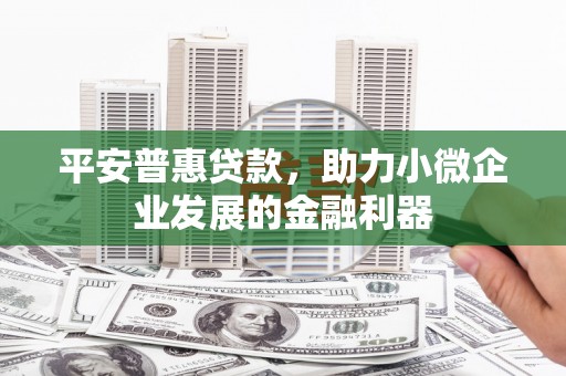 文峰平安普惠贷款，助力小微企业发展的金融利器