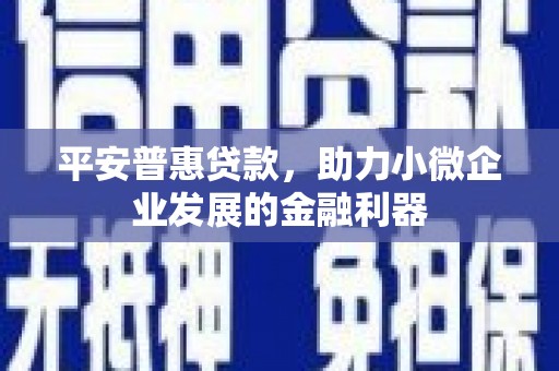 文峰平安普惠贷款，助力小微企业发展的金融利器