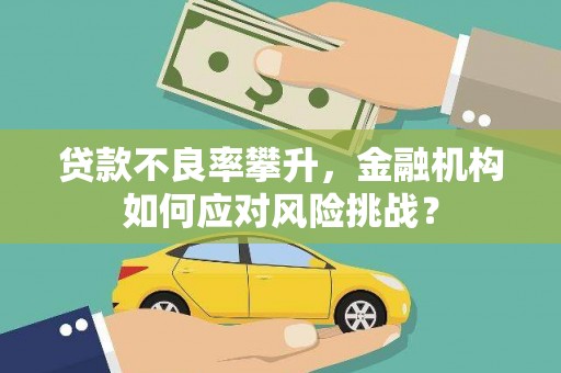 文峰贷款不良率攀升，金融机构如何应对风险挑战？