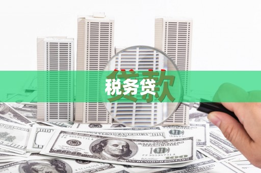 文峰税务贷