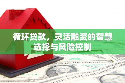 文峰循环贷款，灵活融资的智慧选择与风险控制