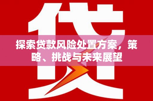 文峰探索贷款风险处置方案，策略、挑战与未来展望