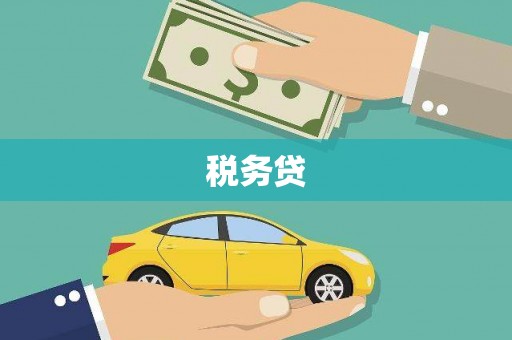 文峰税务贷