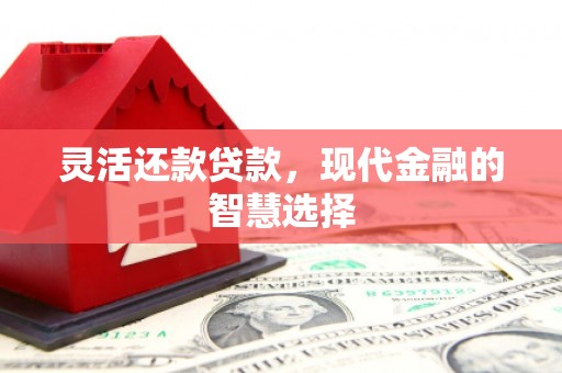 文峰灵活还款贷款，现代金融的智慧选择