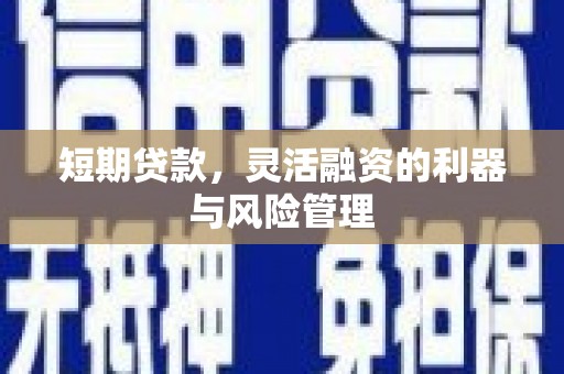 文峰短期贷款，灵活融资的利器与风险管理