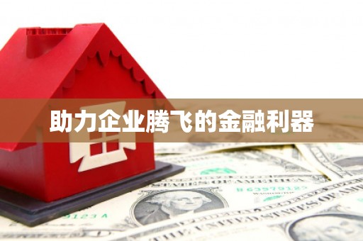 文峰助力企业腾飞的金融利器