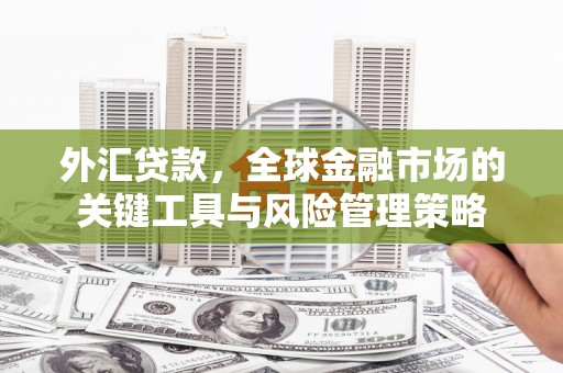 文峰外汇贷款，全球金融市场的关键工具与风险管理策略