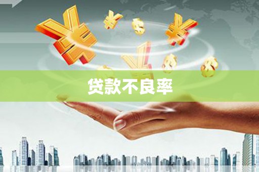 文峰贷款不良率