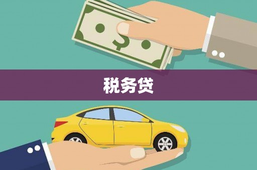 文峰税务贷