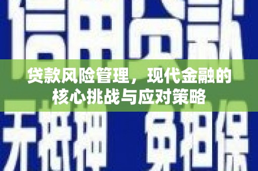文峰贷款风险管理，现代金融的核心挑战与应对策略