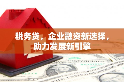 文峰税务贷，企业融资新选择，助力发展新引擎