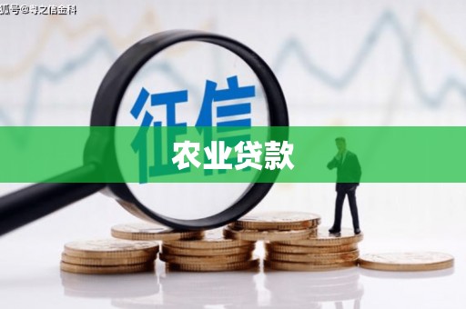 文峰农业贷款